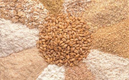Компенсация капзатрат экспортеров продукции АПК